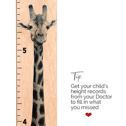Wooden Ruler Growth Chart for Kids, Boys & Girls - Height Chart & Height Measurement for Wall - Kids Nursery Wall Decor & Room Hanging Wall Decor - Giraffe Theme - Natural